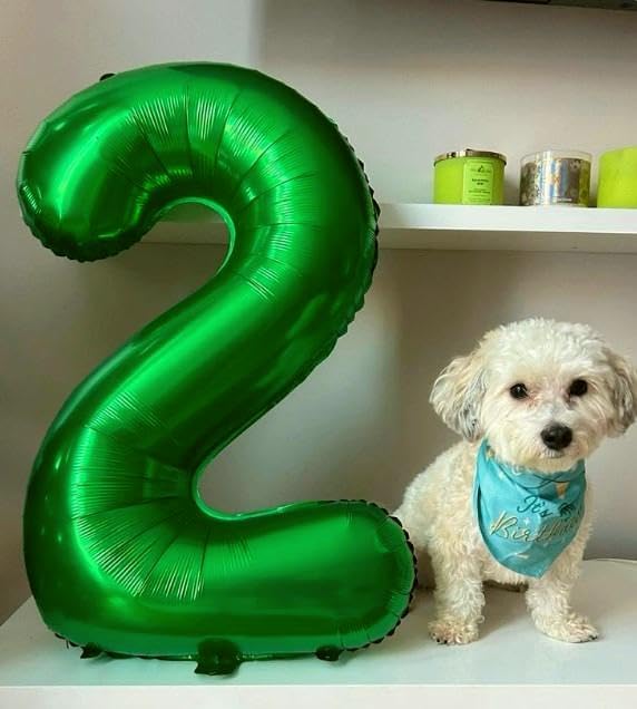40 Inch Green Mylar Foil Number 26 Birthday Balloon, Digital Balloons for 26 Women Men Party Decorations Supplies, Big Helium Balloon Numbers for 26 62 Anniversary