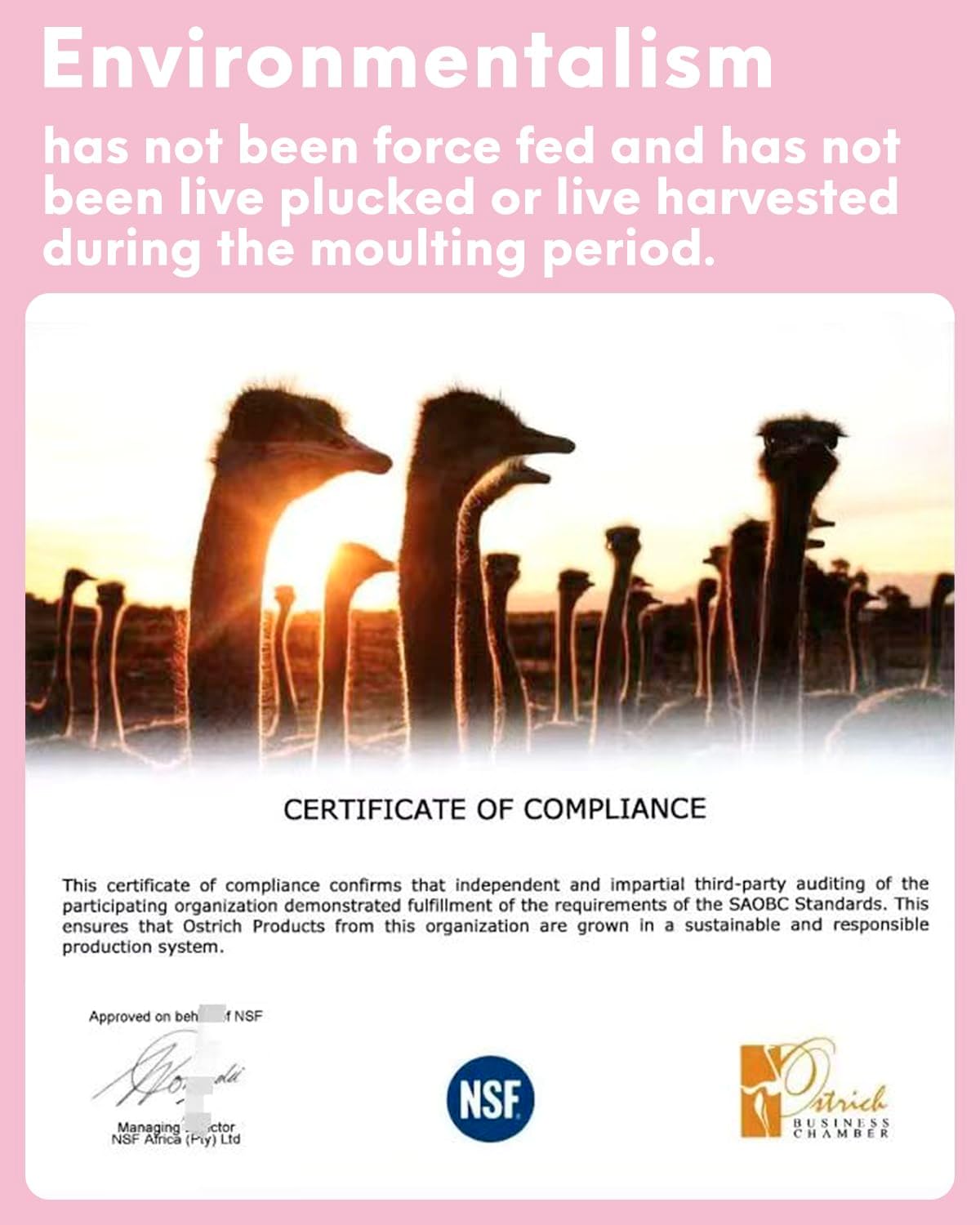 NEWONG 30pcs Light Pink Ostrich Feathers Natural Bulk 8-10inch(20-25cm) Vase Craft Wedding Home Party Centerpieces Christmas Day coquettish Valentine's Day Decoration