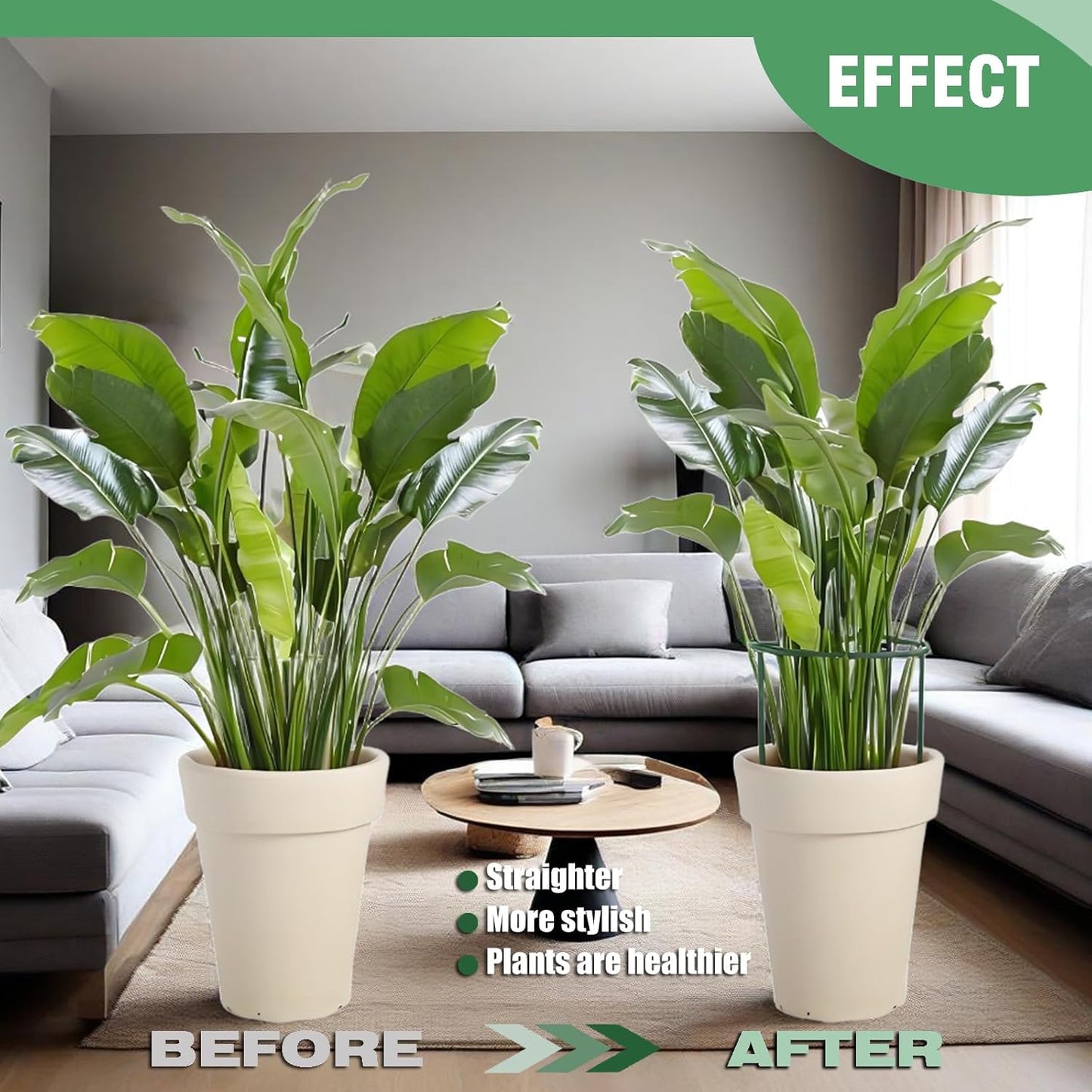 6 Pack Tall Plant Support Stakes, Peony Cages and Supports Large 10" Wide x 24" High Tall Peony Ring Supports, Garden Plant Stakes for Outdoor Plants Rose, Tomato, Hydrangea, Flowers(100 Plant Ties)