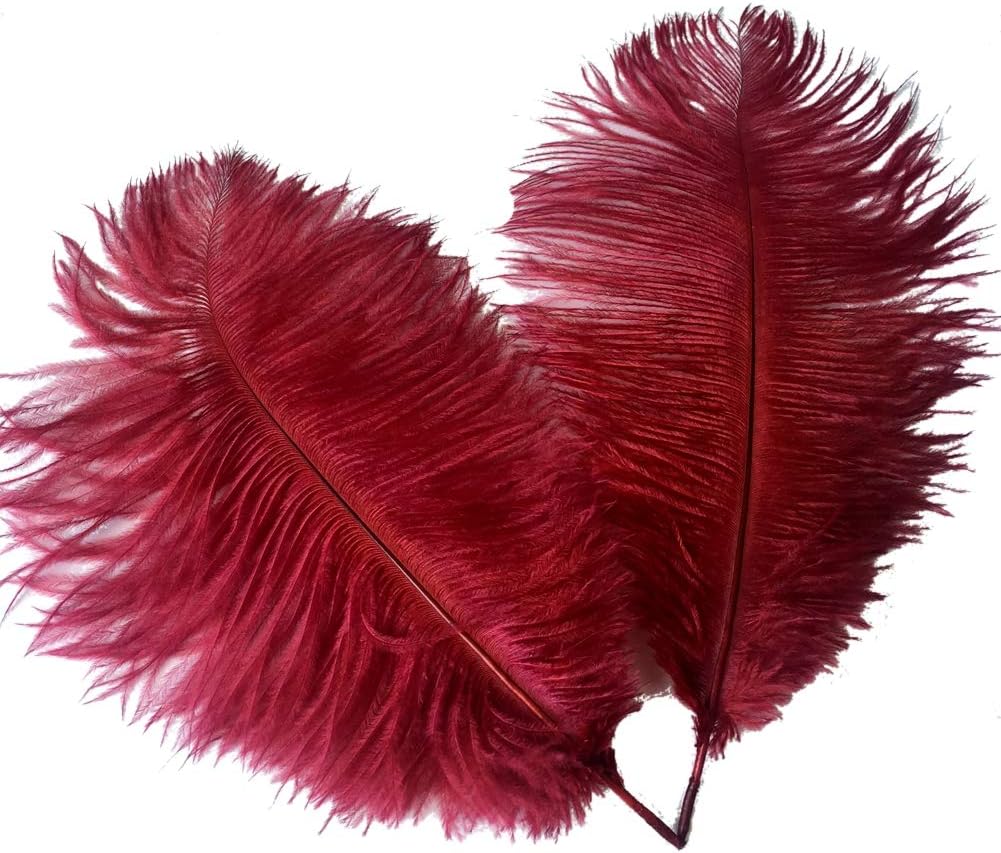 Sowder 8-10inch(20-25cm) Ostrich Feathers Plume for Wedding Centerpieces Home Decoration Pack of 10pcs(Burgundy)