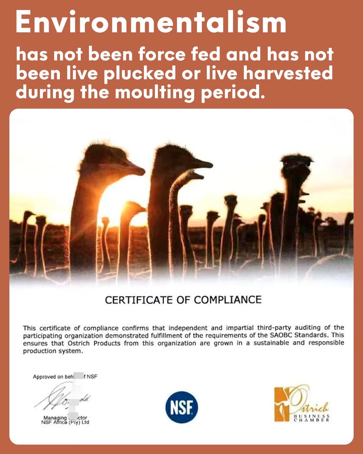 NEWONG 30pcs Brown Ostrich Feathers Natural Bulk 9-12in(23-30cm) Vase Craft Wedding Home Party Centerpieces Christmas Day Decoration