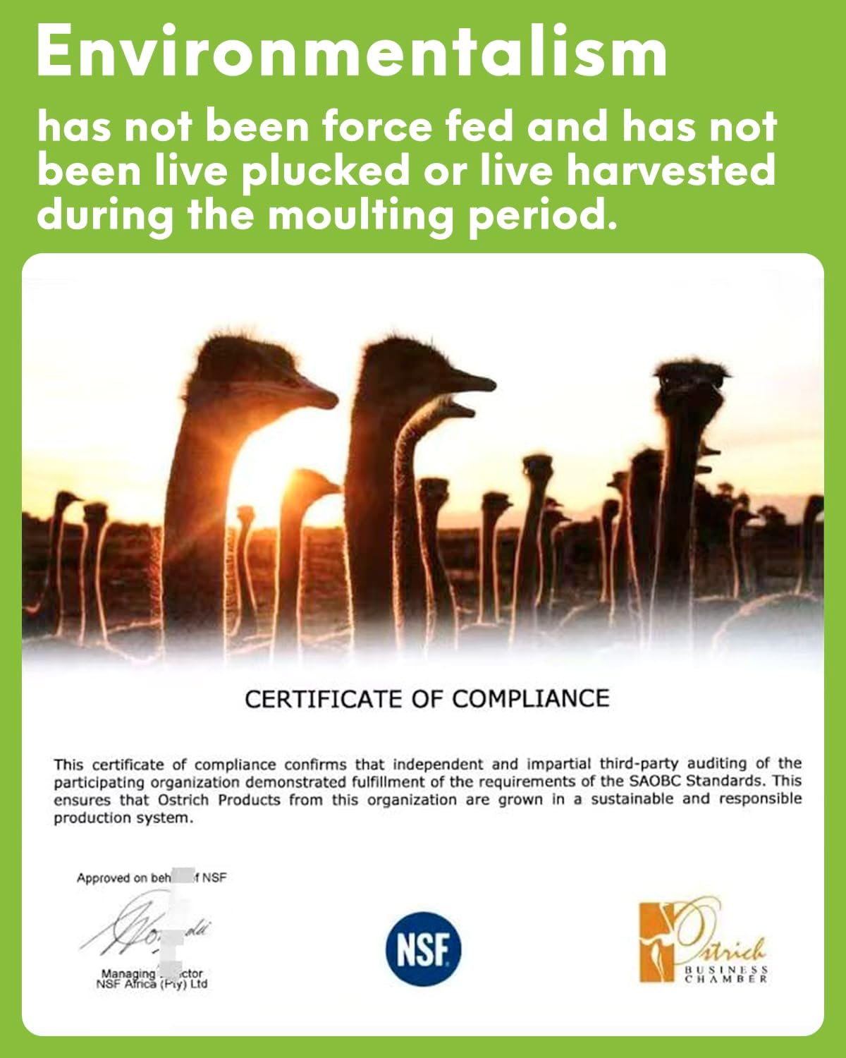 NEWONG 30pcs Yellow Ostrich Feathers Natural Bulk 9-12in(23-30cm) Vase Craft Wedding Home Party Centerpieces Christmas Day Decoration