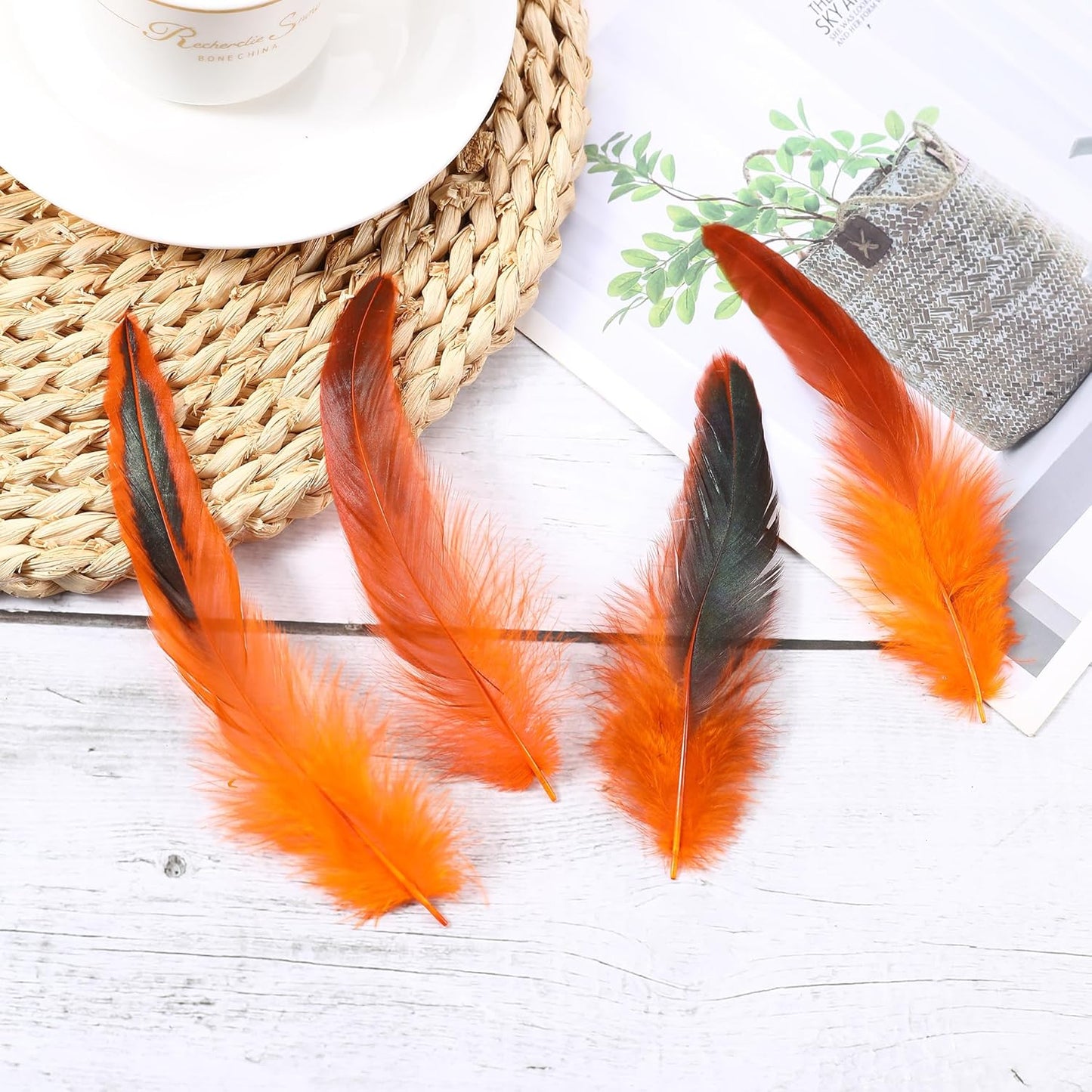SOGUGOM Orange Rooster Tail Feathers - 200 pcs 5-7 inch Natural Long Rooster Tail Feathers Bulk for Craft Projects, Halloween, Hats and Party(Orange)