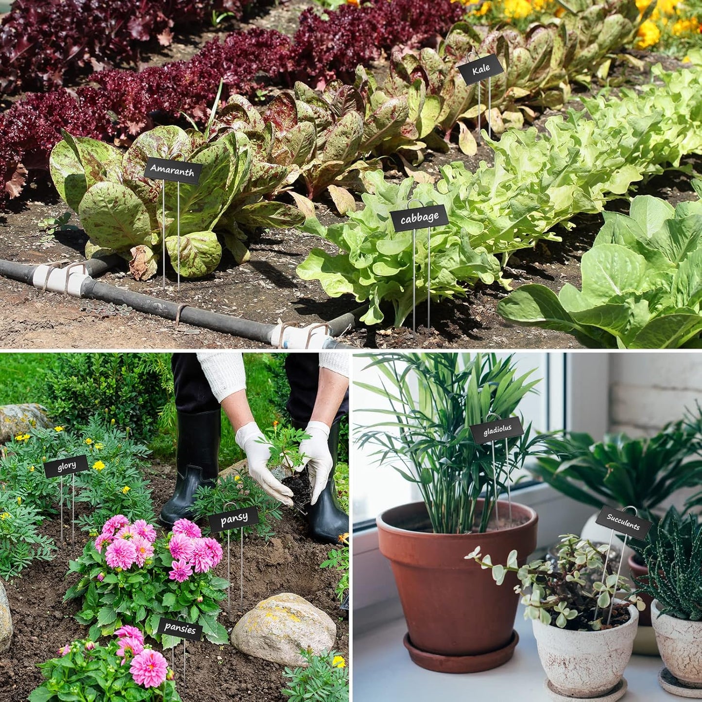 STARTOSTAR 30-Pack Metal Plant Labels Weatherproof Garden Markers,Height 10.6'', Label Area 3.5''X 1.2'' Reusable Nursery Tags for Vegetables Herb Flower Seed Greenhouse - Black