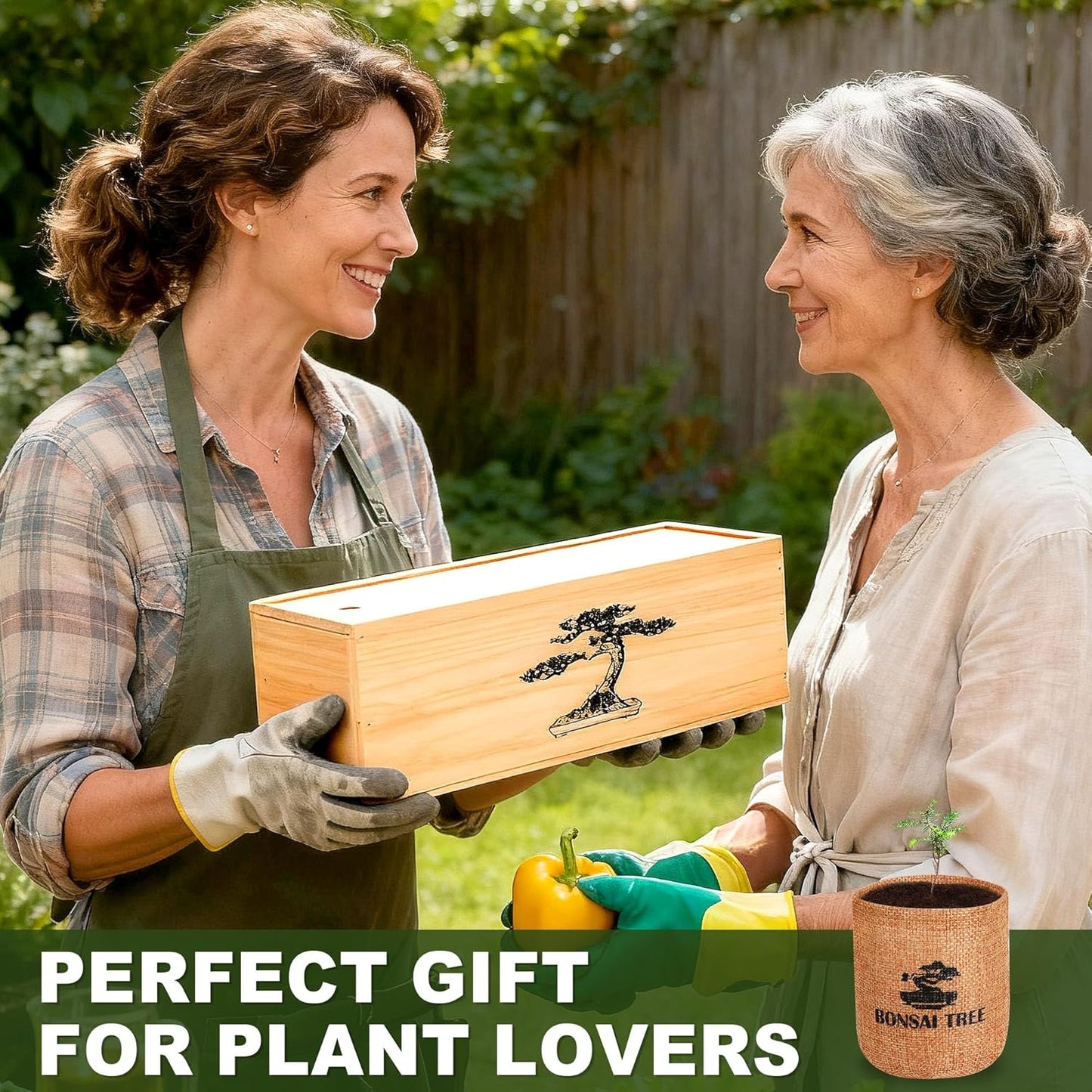 5 Pack Bonsai Tree Kit - 5 Seeds Growing Plant Bonsai Tree Live Kit for Beginners, Easy to Grow Complete Indoor Garden Starter Kits with Wooden Box & Tools, Christmas Gifts for Men Women Plant Lover