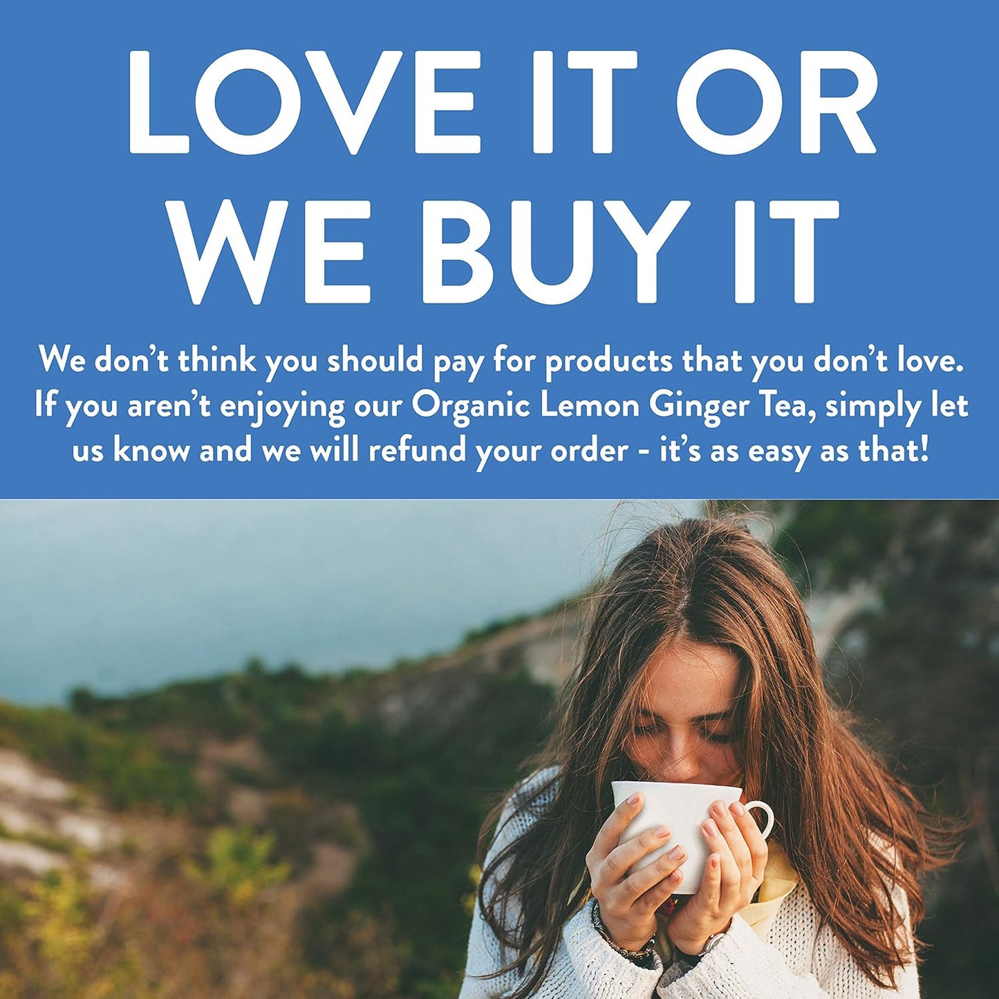 FGO Organic Lemon Ginger Tea, 100 Count, Eco-Conscious Tea Bags, Resealable Bag, Caffeine Free, Packaging May Vary (Pack of 1)