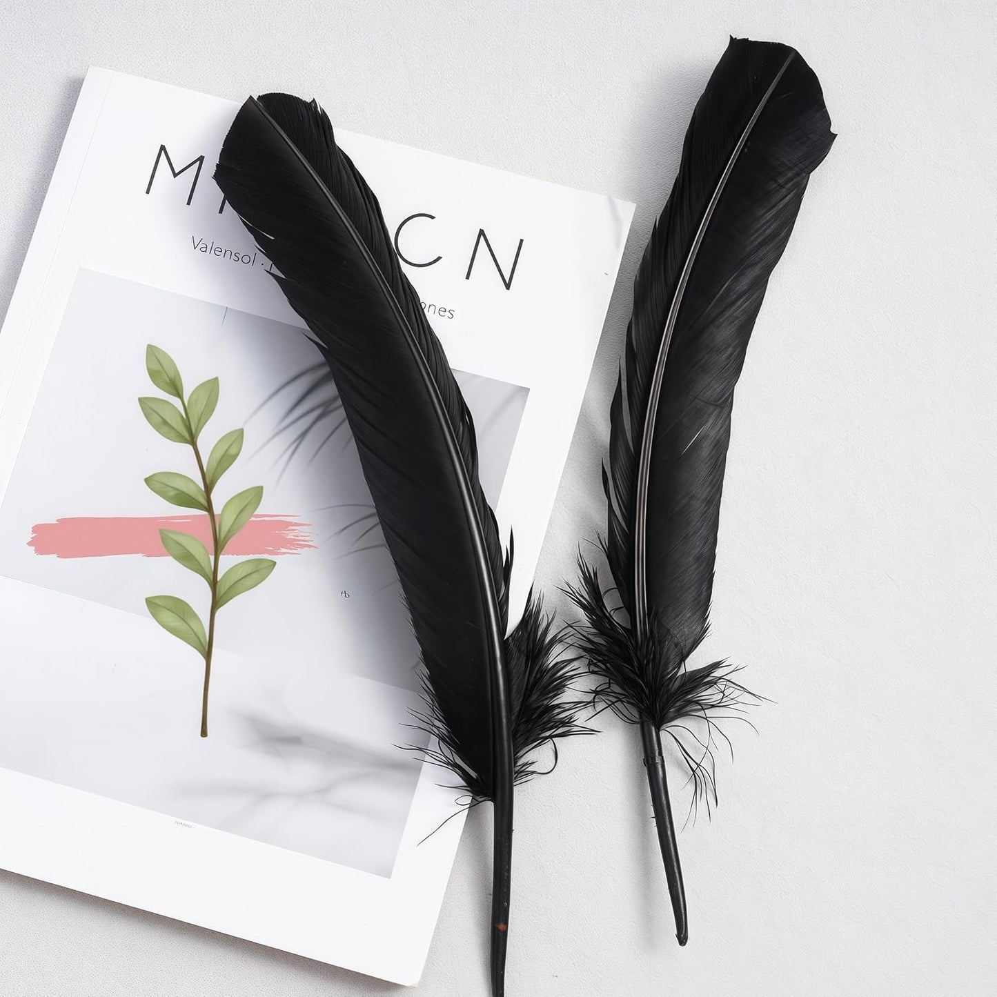 Black Turkey Feathers,22 Pcs Natural Feathers Bulk Long 10-12 inch (25-30cm),Turkish Feather for Crafts DIY Wedding Home Party Mardi Gras Decorations (Black)