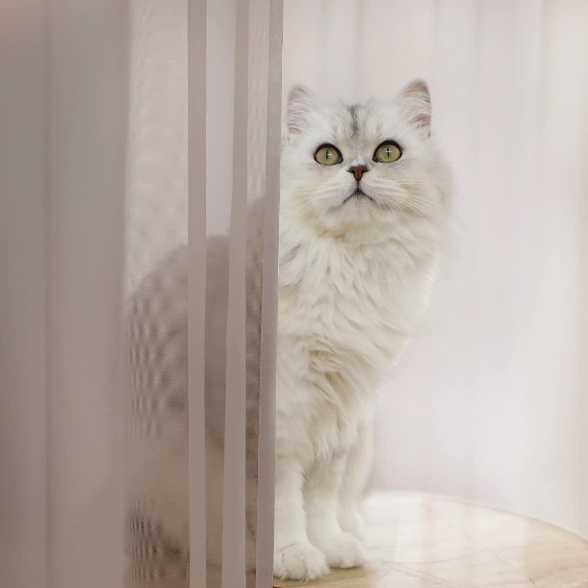 Window Light Grey Sheer Curtains 60 Inches Width 160 Inches Long 2 Panels Sheer Curtain Clear Curtains Basic Rod Pocket Panel for Home Living Room Bedroom Kids Room Yard Patio Parlor Sliding