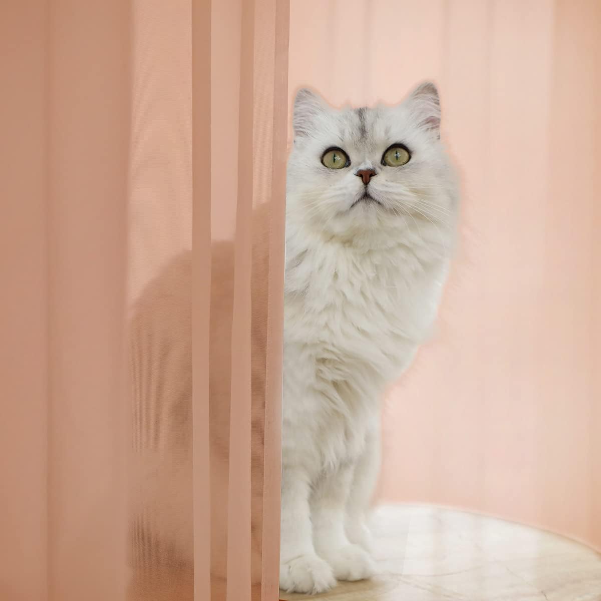 Window Brown Sheer Curtains 95 Inches Long 2 Panels Basic Rod Pocket Panel for Bedroom Children Living Room Yard Kitchen