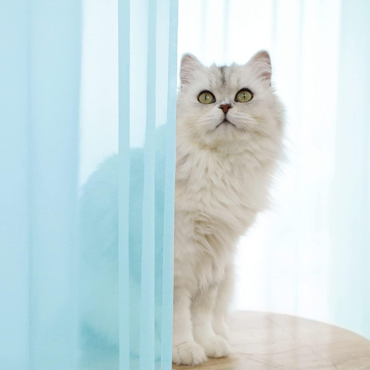 Window Lake Blue Sheer Curtains 48 Inches Width 45 Inches Long 2 Panels Sheer Curtain Clear Curtains Basic Rod Pocket Panel for Home Living Room Bedroom Kids Room Yard Patio Parlor Sliding