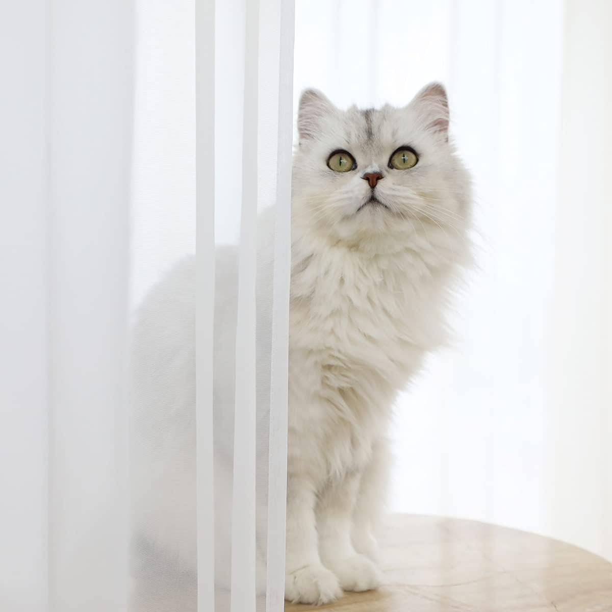 Window White Sheer Curtains 60 Inches Width 95 Inches Long 2 Panels Sheer Curtains Clear Curtains Basic Rod Pocket Panel for Home/Living Room/Bedroom/Kids Room