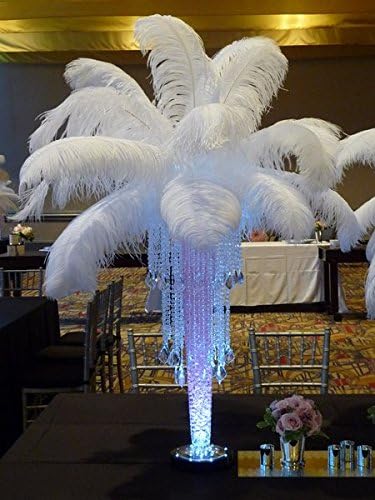 Sowder 16-18inch(40-45cm) Ostrich Feathers Plume for Wedding Centerpieces Home Decoration Pack of 10pcs (White)