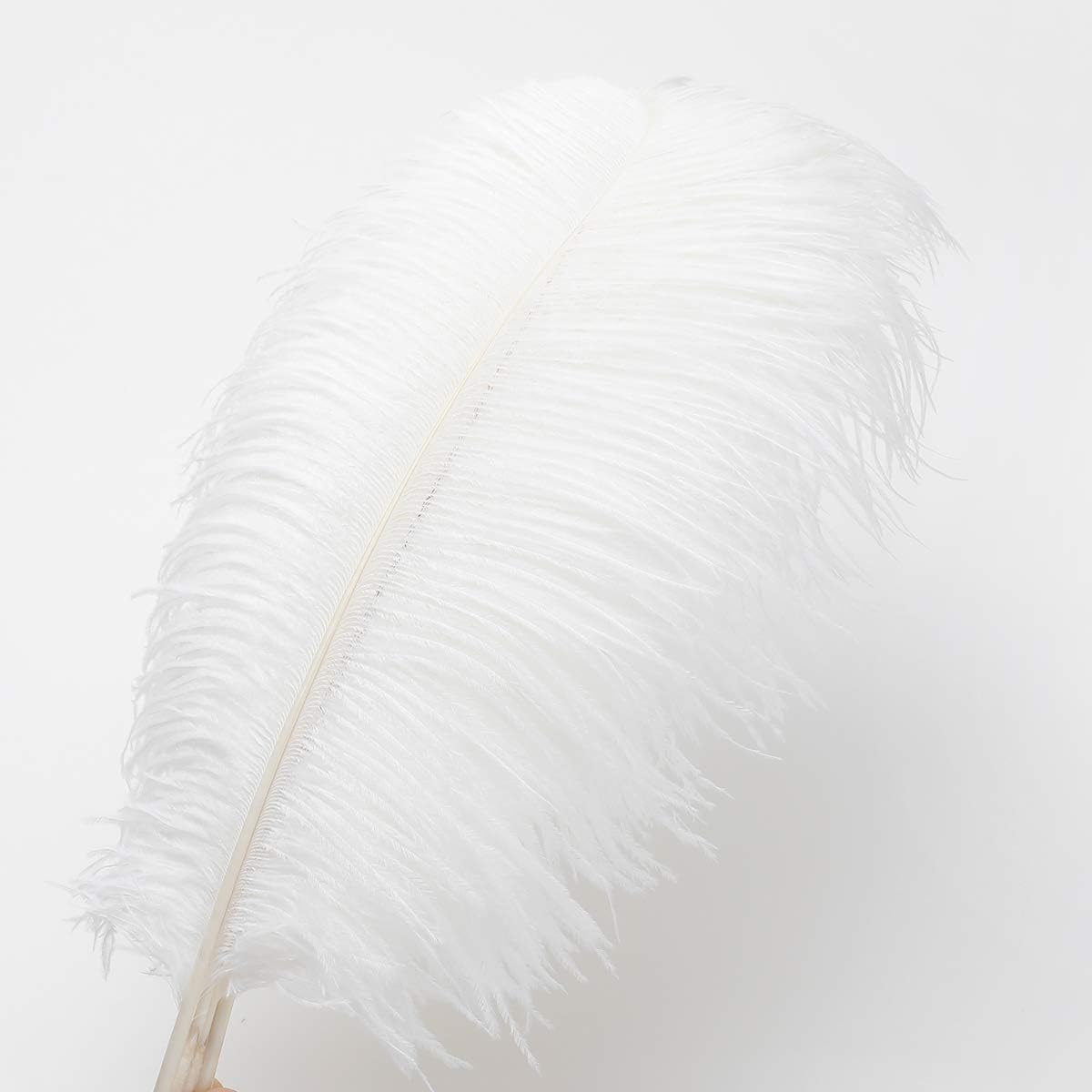 Ballinger Large White Ostrich Feathers - 24Pcs 8-10inch Feathers for Crafts,Party Centerpieces,Wedding and Home Decor