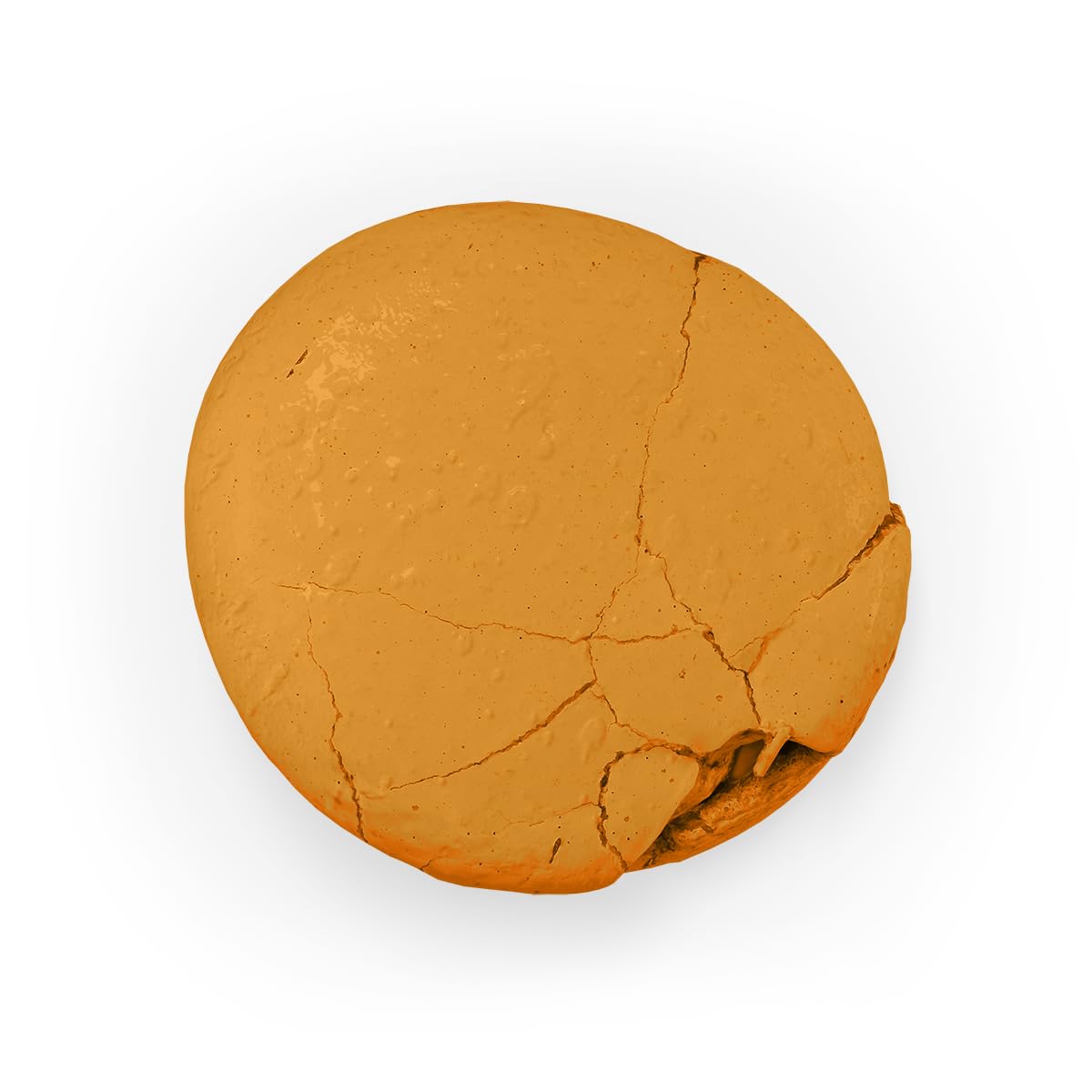 Colour Mill Aqua Blend Water-Based Food Coloring, 20 Milliliters Caramel