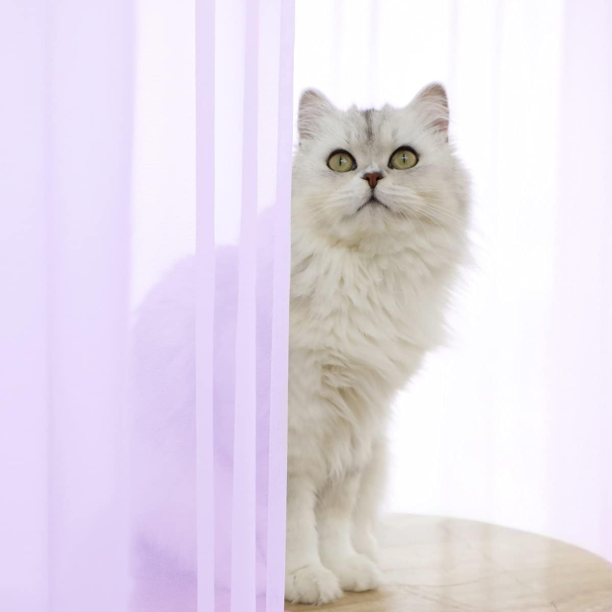 Window Purple Sheer Curtains 120 Inches Long 2 Panels Sheer Curtain Basic Rod Pocket Panel for Bedroom Children Living Room Yard Kitchen (Purple, 52" W x 120" L | 2 pcs)