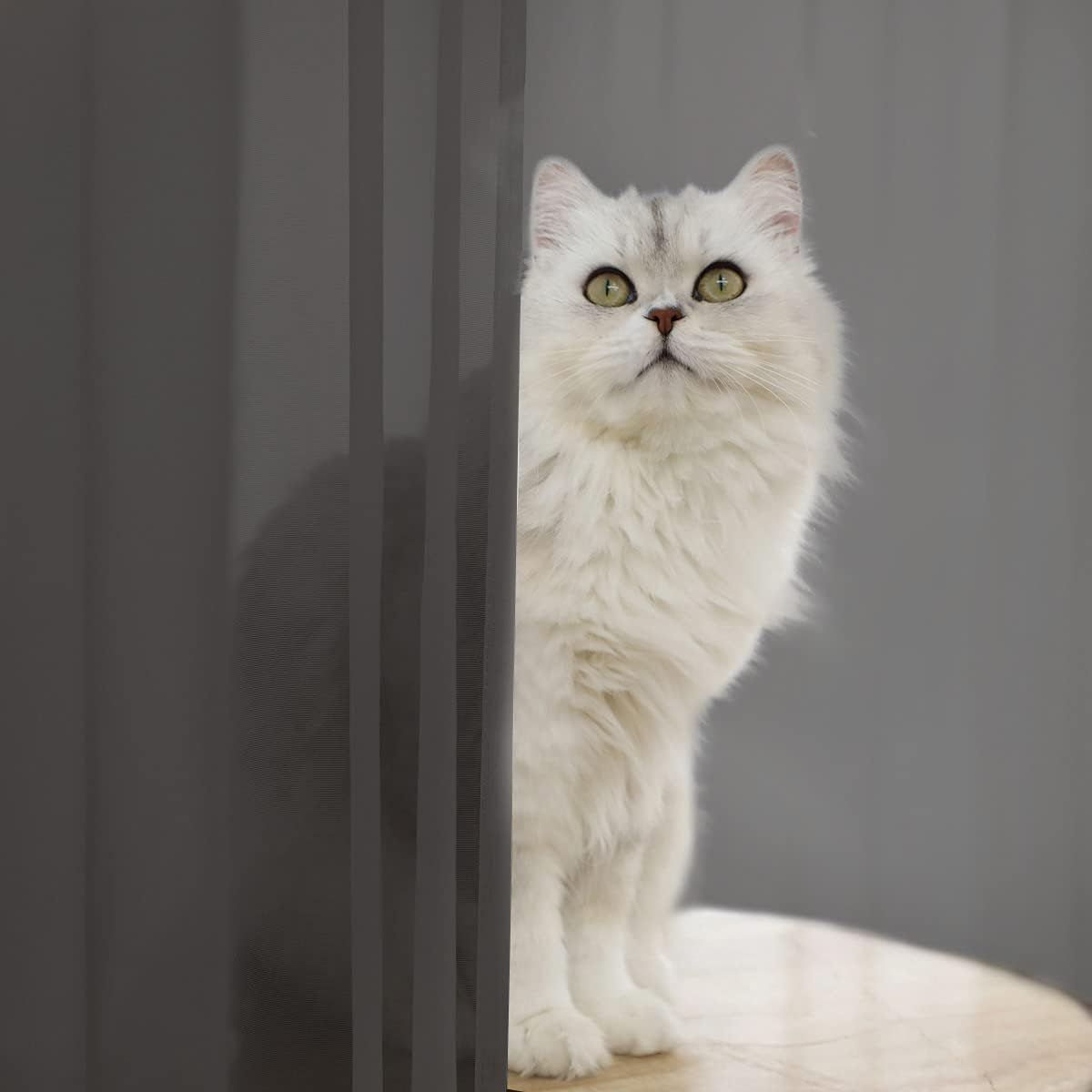 Window Dark Gray Sheer Curtains 84 Inches Long 2 Panels Sheer Curtain Basic Rod Pocket Panel for Bedroom Children Living Room Yard Kitchen (Dark Gray, 52" W x 84" L | 2 pcs)