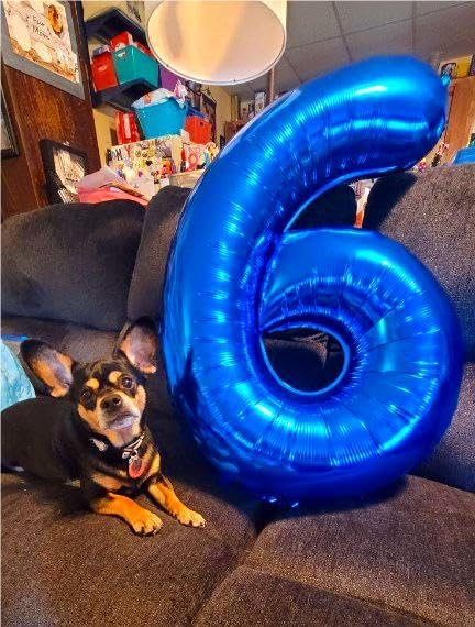 40 Inch Navy Blue Mylar Foil Number 6 Birthday Balloon, Digital Balloons for 6 16 Boy Girl Party Decorations Supplies, Big Helium Balloon Numbers for 26 36 46 60 Men Women Anniversary