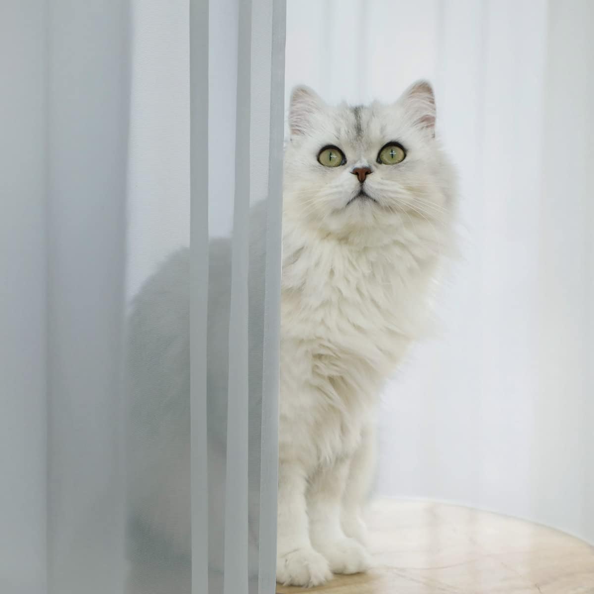 Window Light Gray Sheer Curtains 84 Inches Long 2 Panels Sheer Curtain Basic Rod Pocket Panel for Bedroom Children Living Room Yard Kitchen (Light Gray, 52" W x 84" L | 2 pcs)