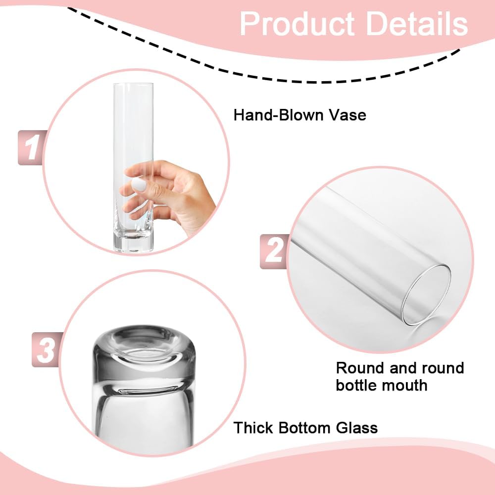 12 Pack 7.5 Inch Glass Cylinder Bud Vases for Centerpieces Clear Slim Flower Vases Tall Glass Cylinder Vase Small Vase for Single Rose Vases Bulk, Home Aesthetic Desk Decor