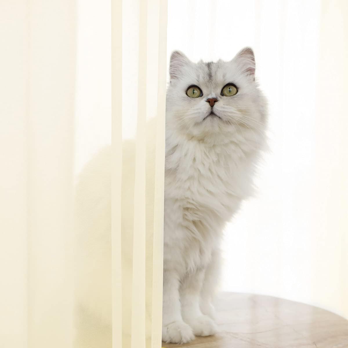 Window Light Yellow Sheer Curtains 145 Inches Long 2 Panels Sheer Curtain Basic Rod Pocket Panel for Bedroom Children Living Room Yard Kitchen (Light Yellow, 52" W x 145" L | 2 pcs)