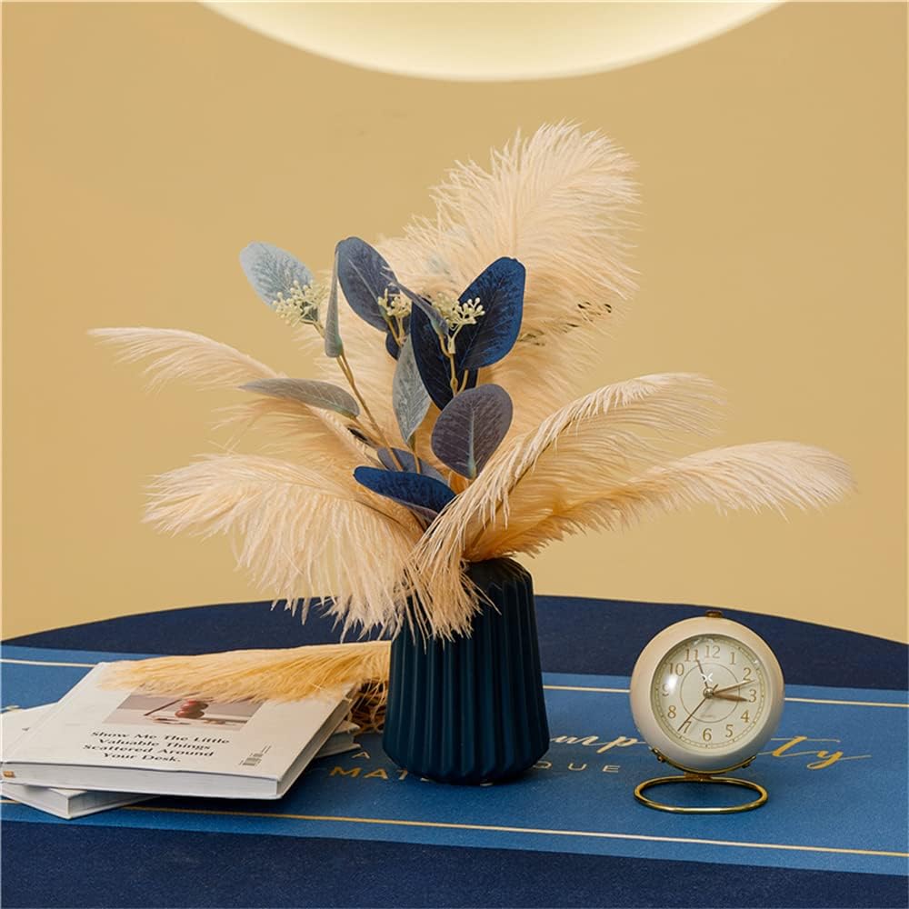 NEWONG 30pcs Champagne Ostrich Feathers Natural Bulk 9-12inch(23-30cm) Vase Craft Wedding Home Party Centerpieces Christmas Day Decoration