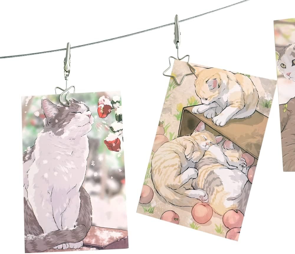 TFu Wall Hanging Photo Display, DIY Picture Photo Frame String with 12 Clips for Hanging Photos Notes and Artworks (Moon & Star)