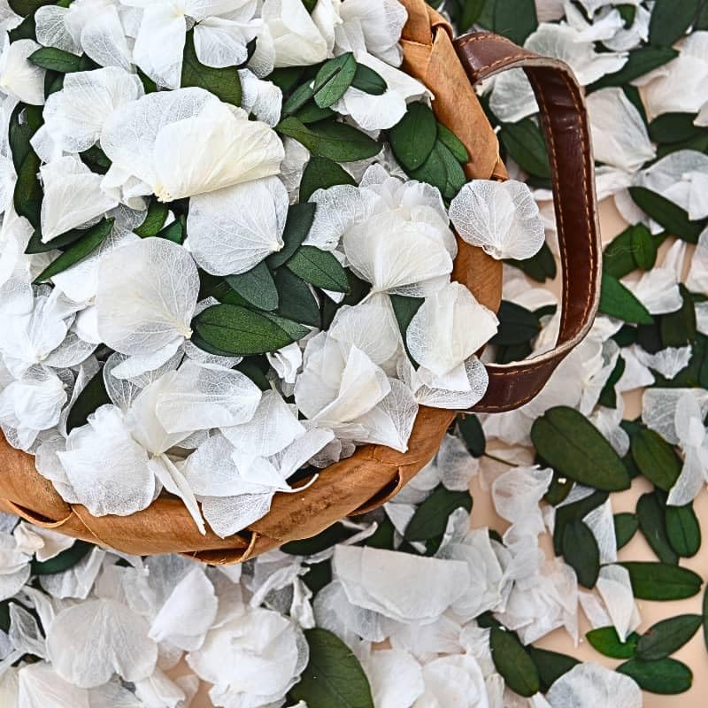 Real Dried Ivory White Hydrangea Flower & Eucalyptus Petals - 3000+ Natural Fragrant Confetti for Wedding, Flower Girl Baskets, Aisle Decor, Scented Sachets, Spring Potpourri Bags, Air Freshener