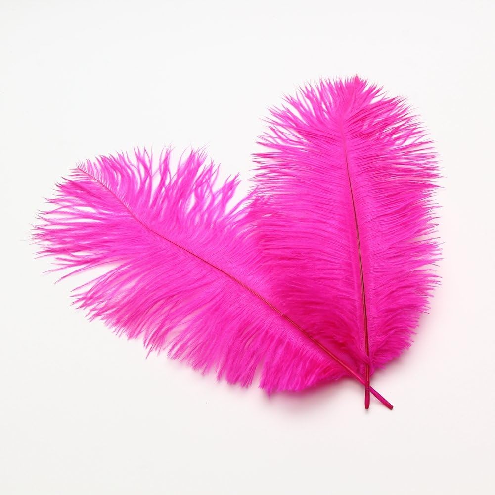Sowder 6-8inch(15-20cm) Ostrich Feathers Plume for Wedding Centerpieces Home Decoration Pack of 10pcs(Fuchsia)