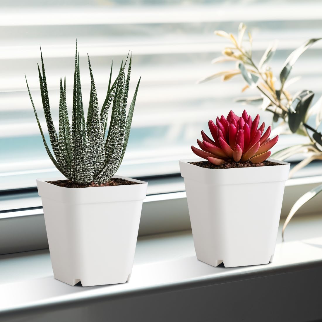 BTPLASTIK 80 Pcs Nursery Pots 4 Inch, Plastic Seed Starting Pot with Drainage Holes, Small Sturdy Seedling pots for Planting, Succulents, Transplanting, Cuttings (White)