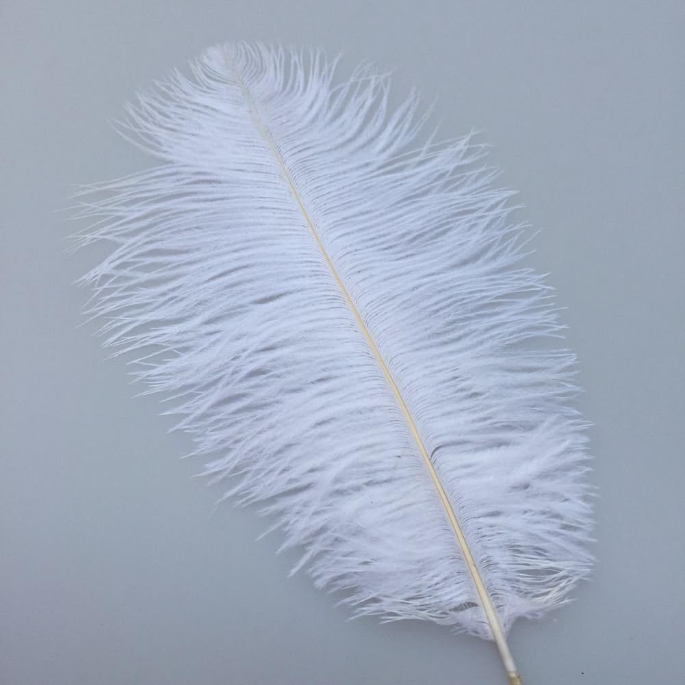 Sowder 8-10inch(20-25cm) Ostrich Feathers Plume for Wedding Centerpieces Home Decoration Pack of 10pcs(White)