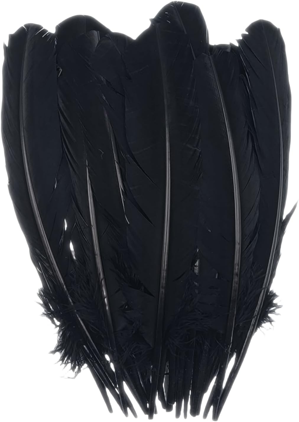 Black Turkey Feathers,22 Pcs Natural Feathers Bulk Long 10-12 inch (25-30cm),Turkish Feather for Crafts DIY Wedding Home Party Mardi Gras Decorations (Black)