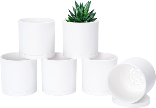 D'vine Dev 6 Pack 4 Inch Modern Plastic Plant Pots, Small Garden Planters for Plant with Drainage Holes and Saucers, White Color, 74-Z-E-3