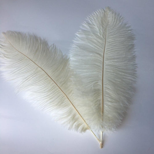 Sowder 14-16inch(35-40cm) Ostrich Feathers Plume for Wedding Centerpieces Home Decoration Pack of 10pcs(Ivory)