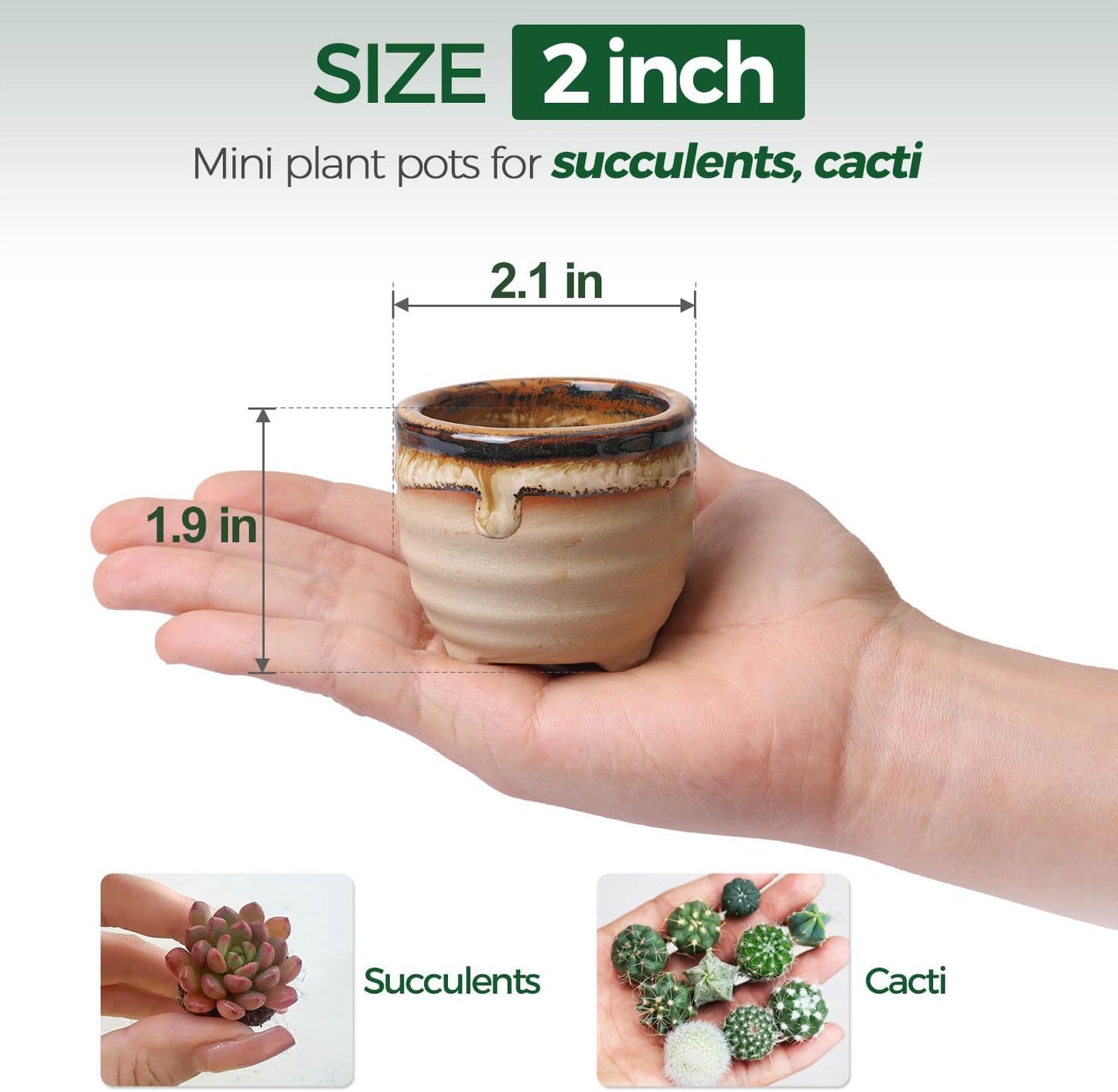 T4U Small Ceramic Succulent Pots with Drainage - Set of 12, Mini Pots for Plants, Home and Office Decor, Plant Lover Gifts for Women