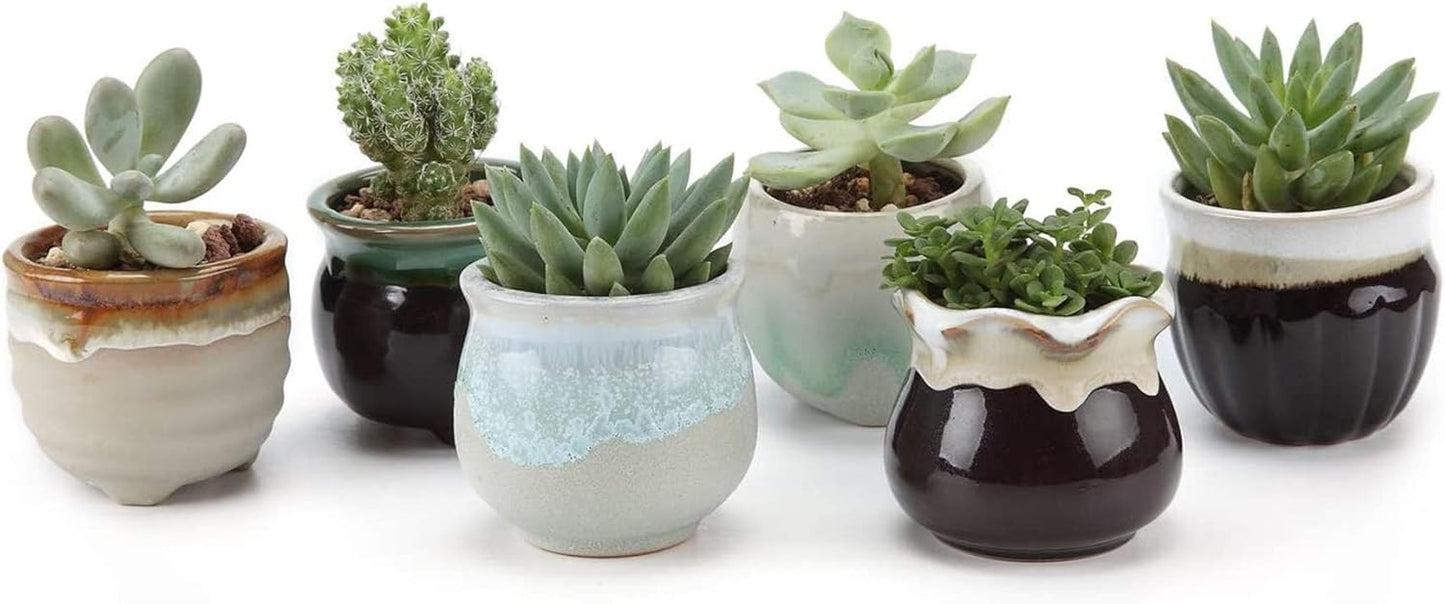 T4U Mini Ceramic Succulent Pots with Drainage - Set of 6, Tiny Pots for Plants, Home and Office Decor, Plant Lover Gifts for Women