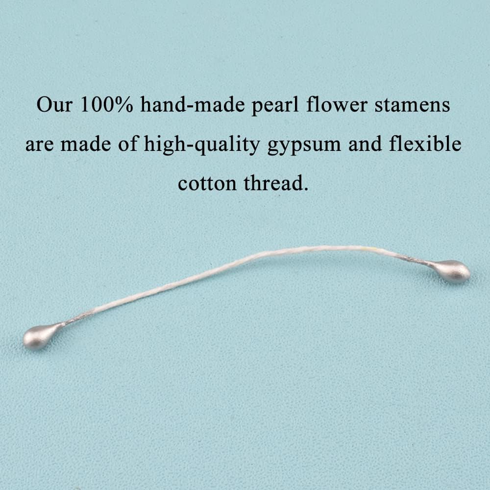 HAHIYO 700Pcs 3mm Silver Pearl Double Heads Pistil Hand-Made Artificial Pistil para Flores Pearlized Floral Stamen for Flower Making Scrapbook Decoration