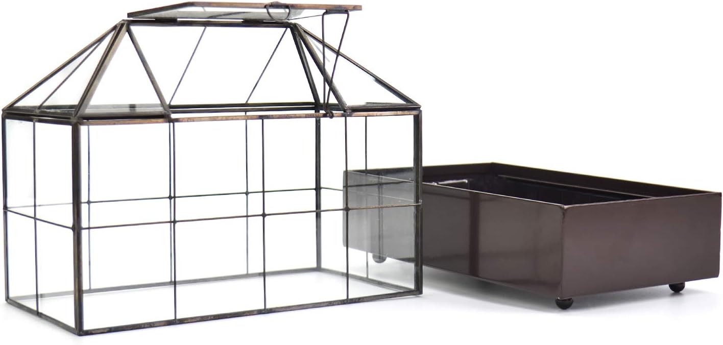 Large Tall Plant Terrarium Glass Greenhouse with Lid and Tray, Indoor Tabletop Orchid Succulent Cacti Kit 9.5'X9.8'X5.6'