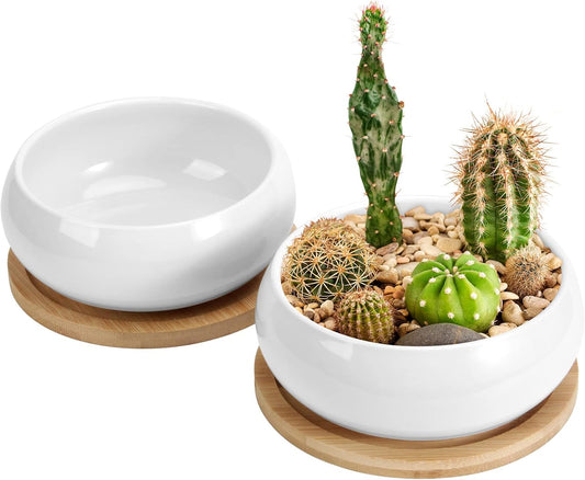 ZOUTOG 2 Pack Succulent Pots, 6 inch Ceramic Planters for Indoor Plants with Bamboo Tray, Pots with Drainage, Seeds＆ Plants Not Included
