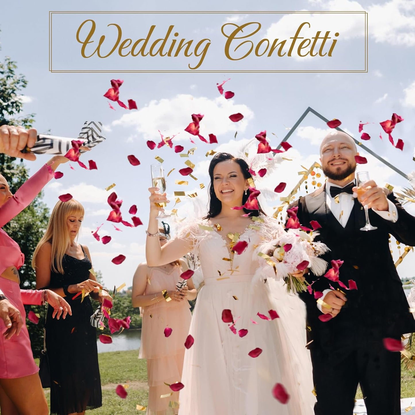 300+ PCS Biodegradable Red Rose Petals Wedding Confetti, 20+ Cups Dried Flower Petals for Valentine's Day, Bath, Bridal Shower, Soap, Candle Making, Mother's Day Presents and Bridal（2 QT）