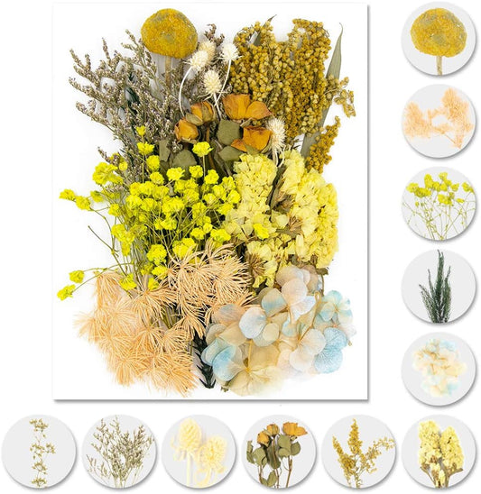 Vignee Real Dried Pressed Leaf Flowers-Multiple Colorful Pressed Flowers Daisies for Craft Resin Jewelry Making Art Craft DIY and Soap Candle Scrapbooking DIY Resin（Yellow）
