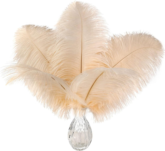 Ballinger Light Salmon Ostrich Feathers - 24pcs 8-10inch Feathers for Crafts，Wedding Party Centerpieces and Home Decor