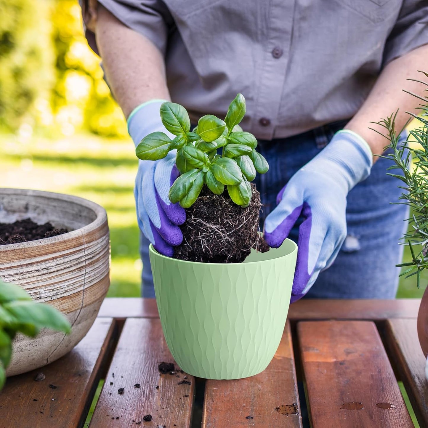 7 inch Flower Pots, 5 Pack Plant Pots with Drainage Holes and Saucers for Indoor Plants, Plastic Planters with Water Ripple for Small Garden House Plants, Nursery Pots for Succulent, Green