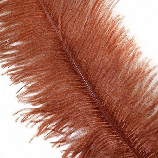 KOLIGHT 40pcs 12''~14''(30~35cm) Natural Ostrich Feathers for DIY Home Wedding Party Office Decoration (Coffee)
