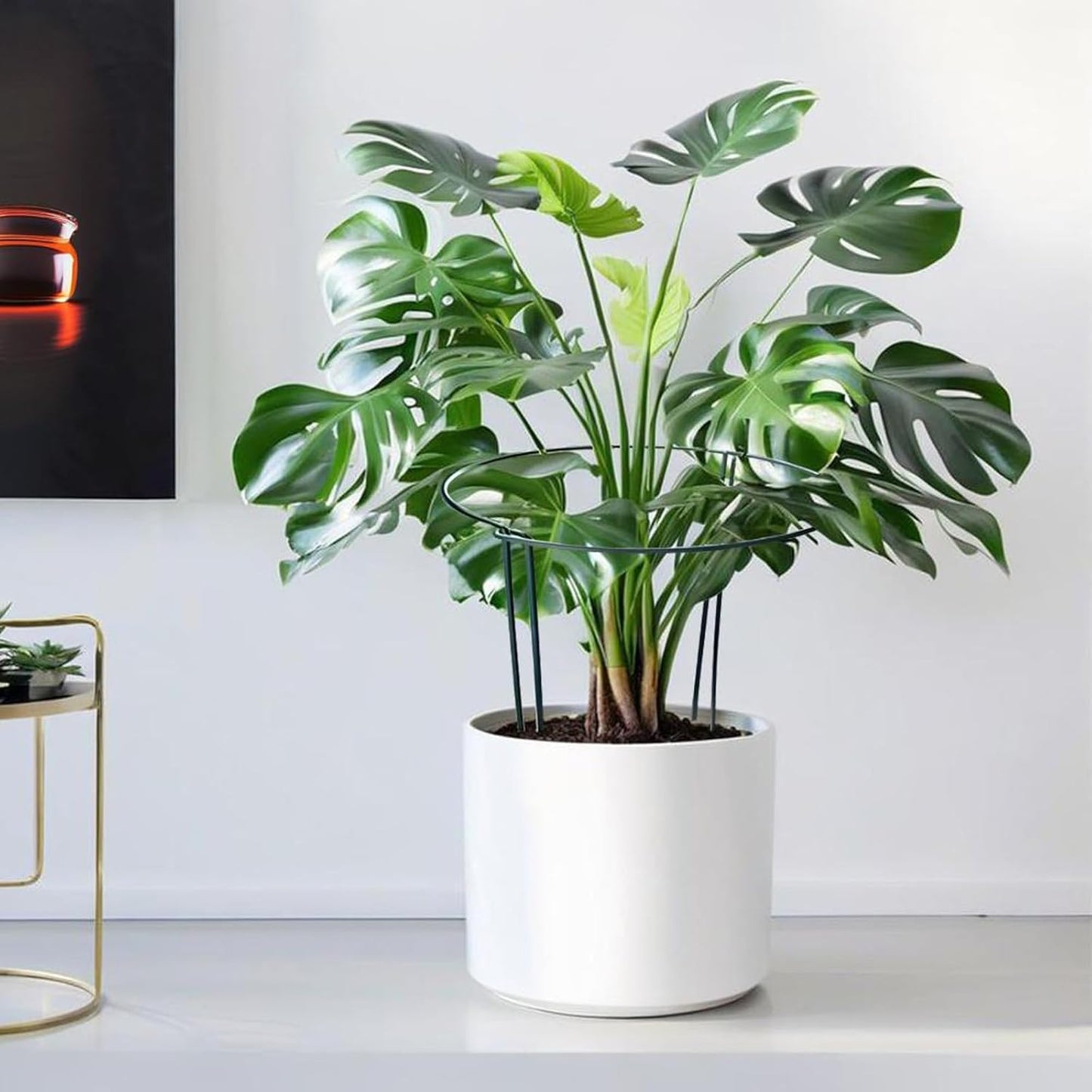 6 Pack Tall Plant Support Stakes, Peony Cages and Supports Large 10" Wide x 24" High Tall Peony Ring Supports, Garden Plant Stakes for Outdoor Plants Rose, Tomato, Hydrangea, Flowers(100 Plant Ties)