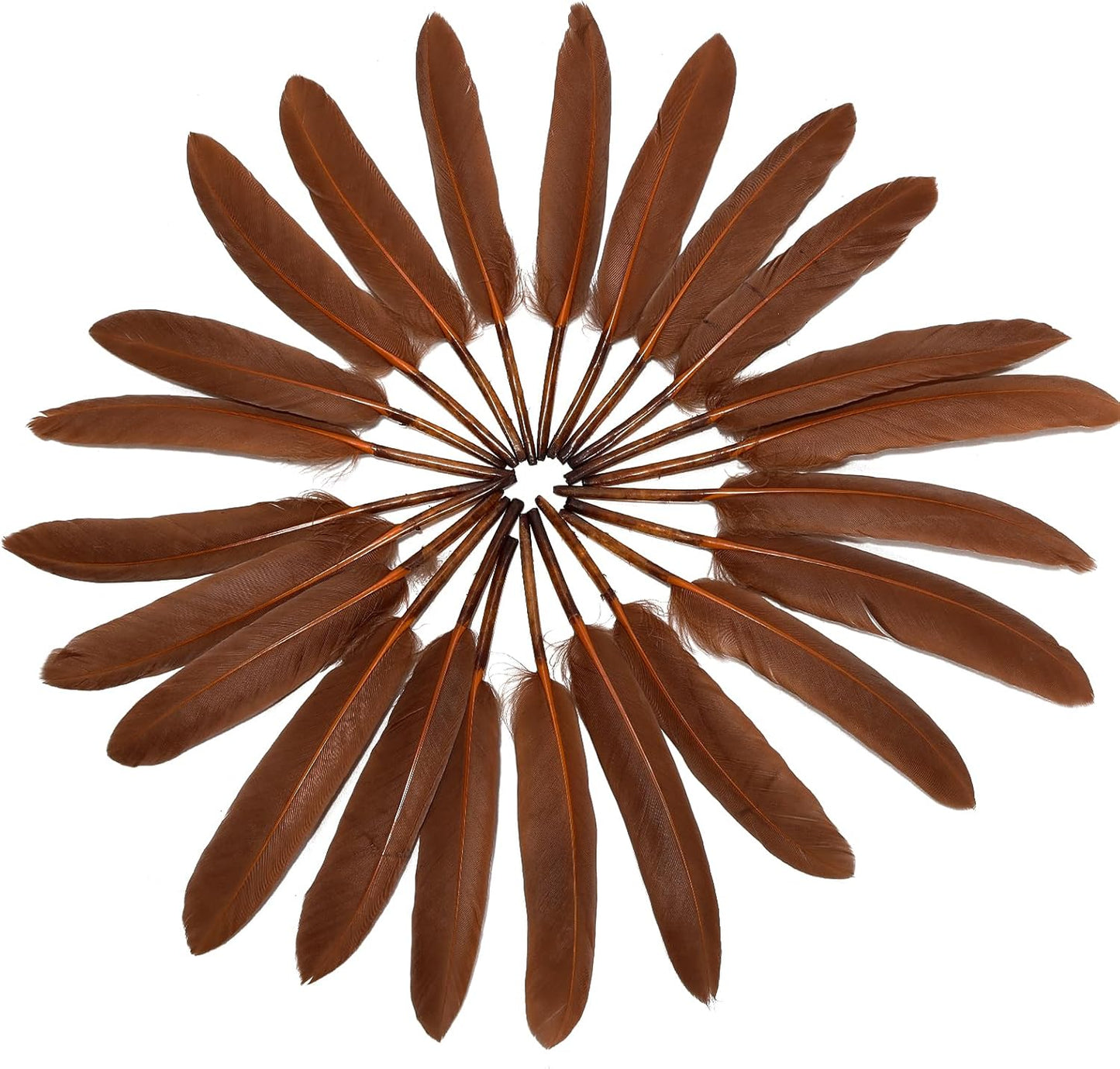 FeelfunFeather 120pcs Coffee Brown Goose Cochettes Feather Natural Bulk 4-6 inch 10-15cm for Wedding Party Christmas Decorations DIY Crafts Goose Cochettes Feather