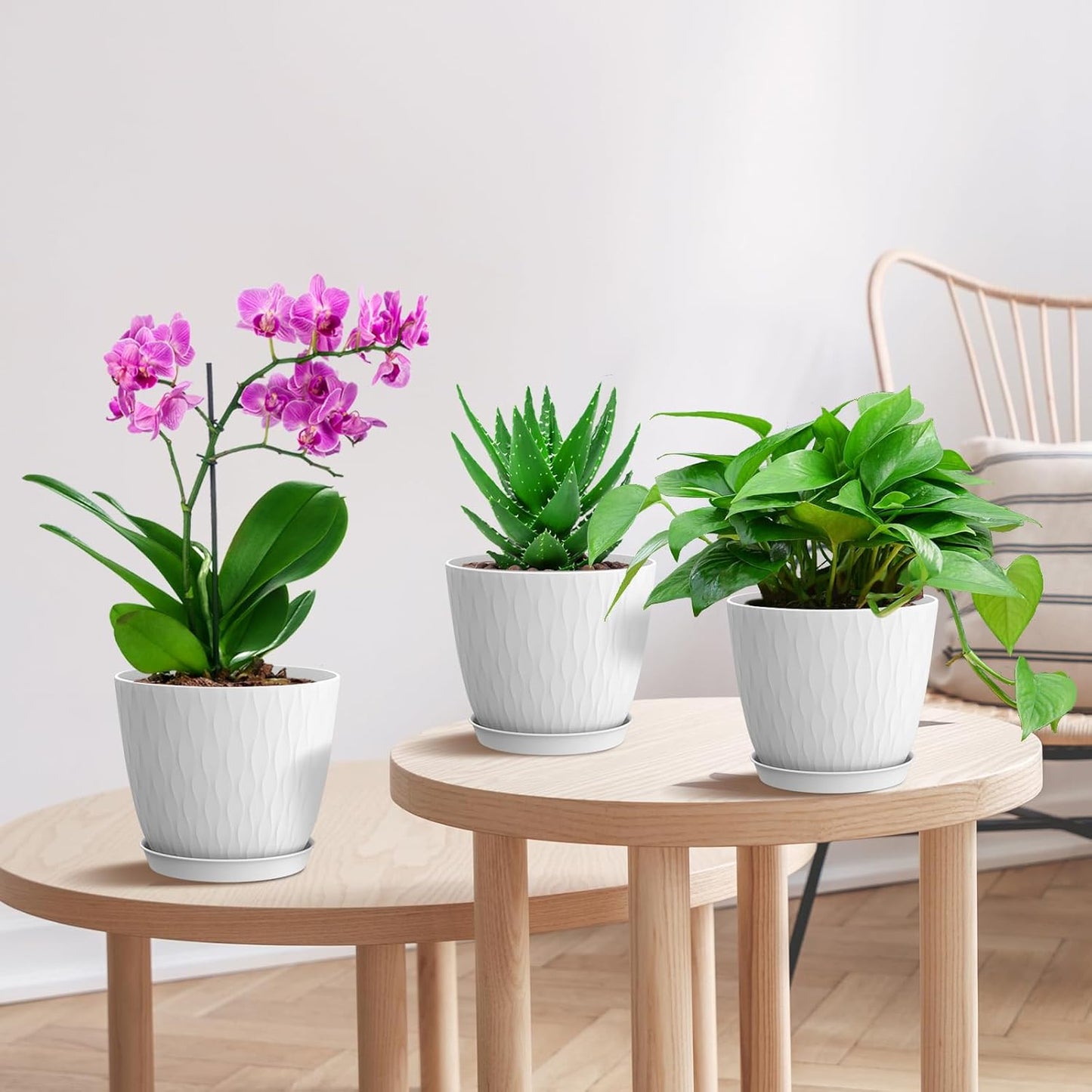 6 inch Flower Pots, 5 Pack Plant Pots with Drainage Holes and Saucers for Indoor Plants, Plastic Planters with Water Ripple for Small Garden House Plants, Nursery Pots for Succulent, White