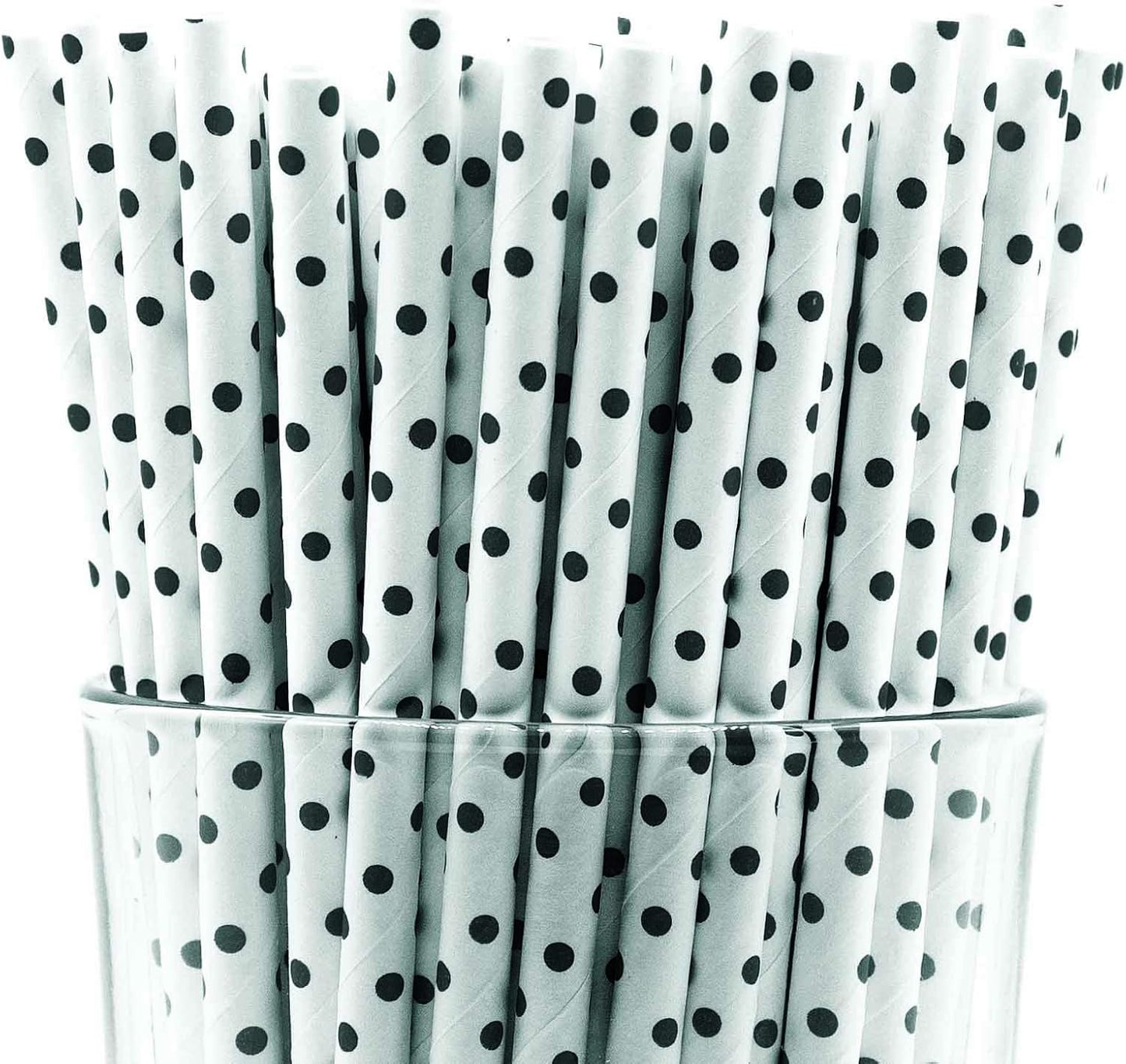 Pack of 300 Black Polka Dot Biodegradable 4-Ply Paper Drinking Straws (Compostable, Non-toxic, BPA-free)