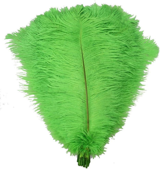 KOLIGHT® 40pcs 12''~14''(30~35cm) Natural Ostrich Feathers for DIY Home Wedding Party Office Decoration (Green)