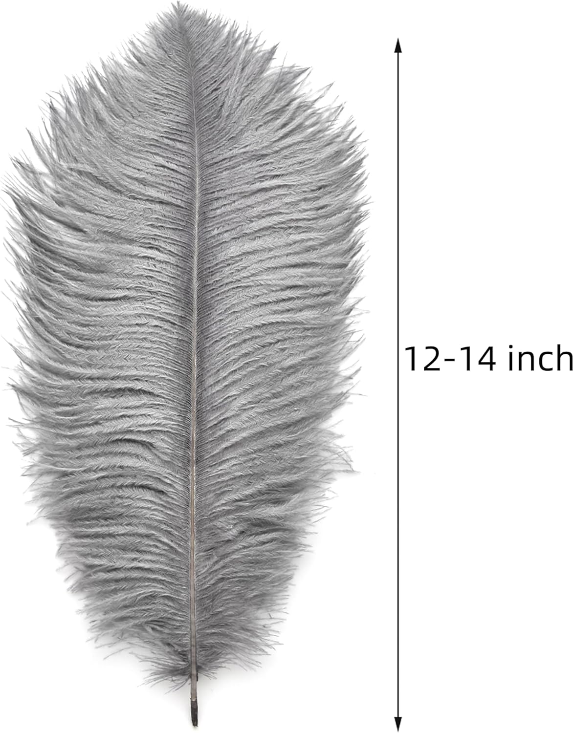 Ballinger Natural Gray Ostrich Feathers - 24pcs 12-14inch Big Feathers for Wedding Party Centerpieces Home Decor