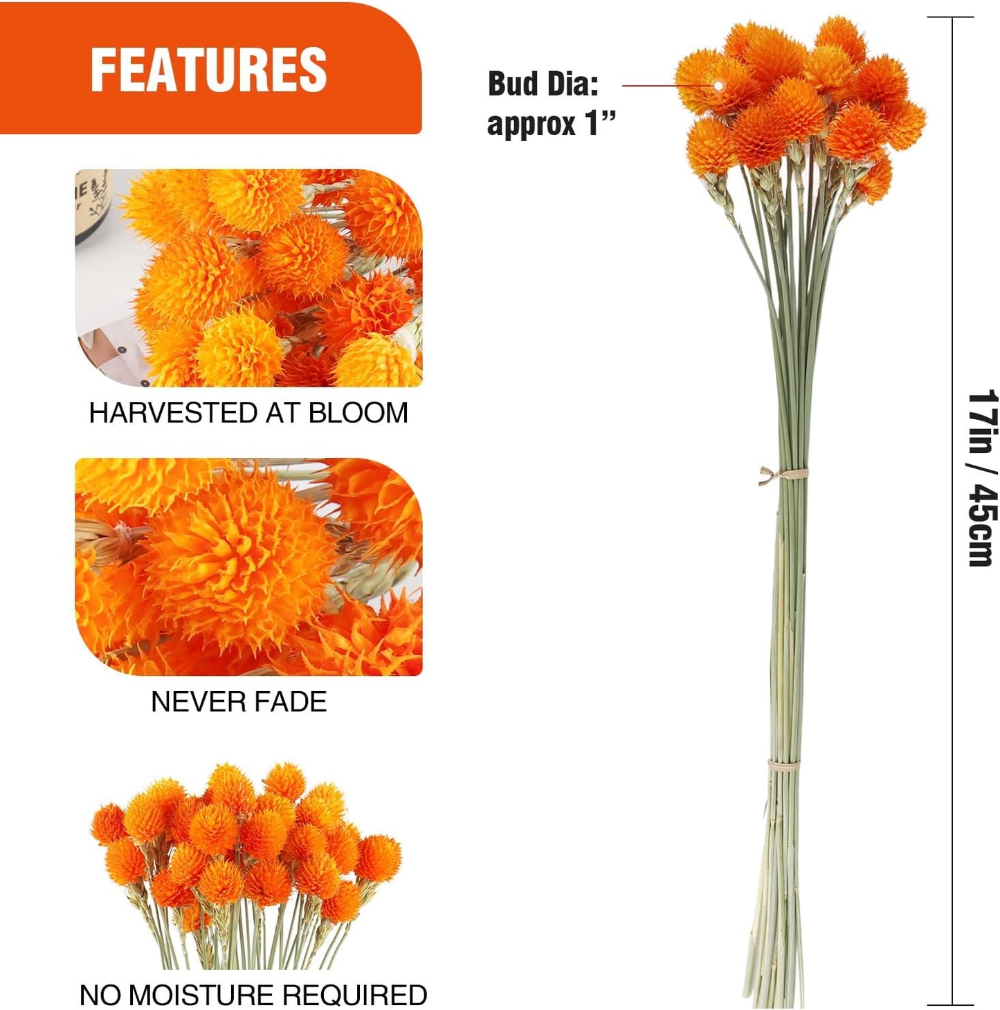 Dried Globe Amaranth Flower with Wheat Straw Natural - 40PCS Bouquet for Vase Home Decor Party DIY Arrangement (Orange)
